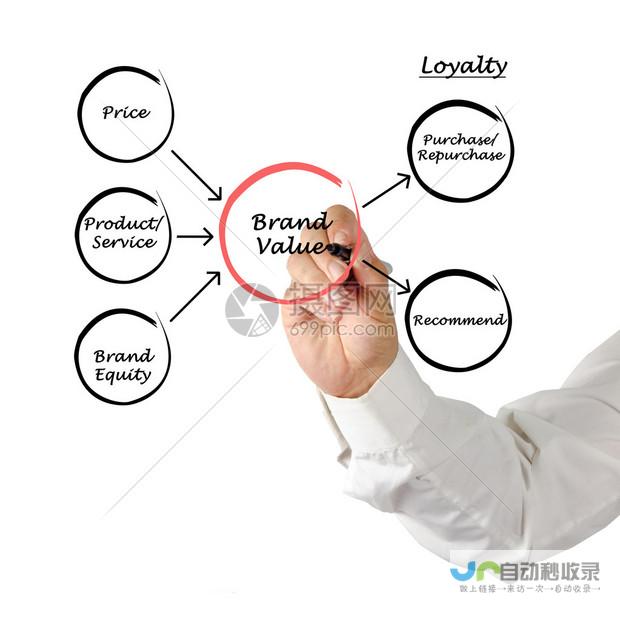 提升品牌价值，引领数字营销：专业企业官网建设服务