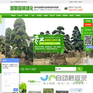 长沙县智联园林绿化有限公司_长沙罗汉松|桂花树价格|香樟苗木哪家好